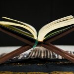 pexels-photo-8522562-8522562